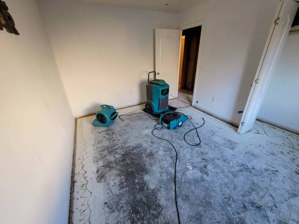 Best 24/7 water damage repair  in Wilberforce, OH