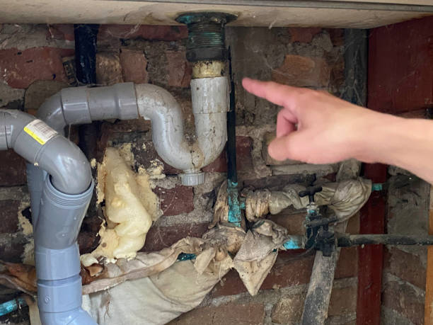 Best Sewage cleanup and water damage restoration  in Wilberforce, OH