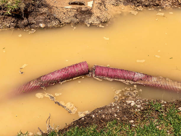 Carpet water damage restoration in Wilberforce, OH